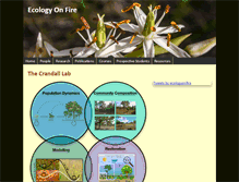 Tablet Screenshot of ecologyonfire.com